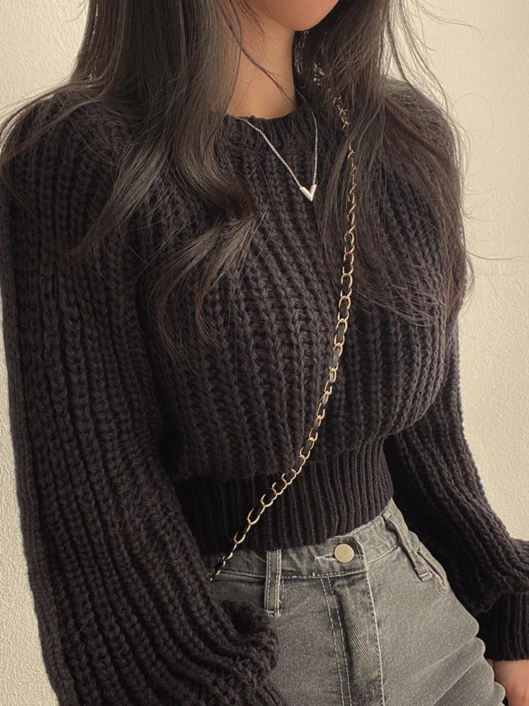 Knit Sweater